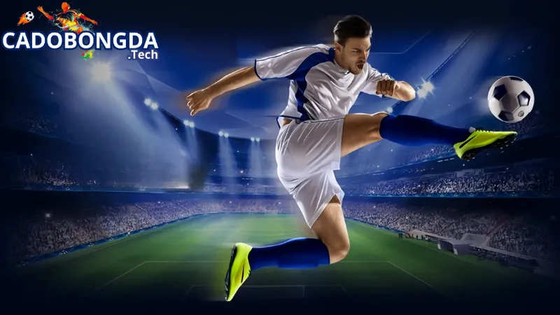 Những tính năng có tại Cadobongda.tech